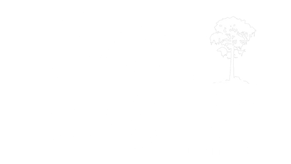 Honey Island Outfitters